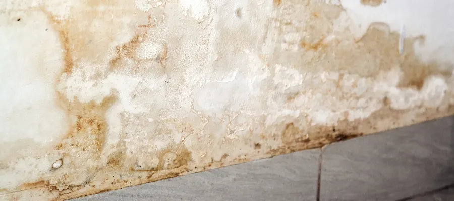 Me entra agua por la pared del vecino