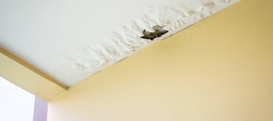 ¿Cubre el seguro de hogar goteras por lluvia